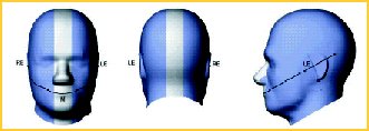 SAR Values, The Phanton