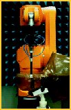 SAR Values, The Robot